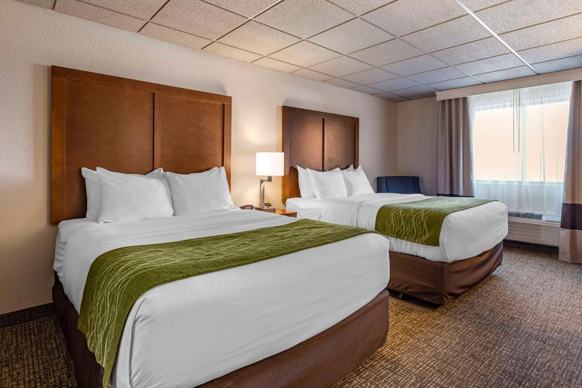 Comfort Inn & Suites Gateway To Glacier National Park Shelby Esterno foto